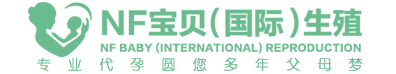霓晨网